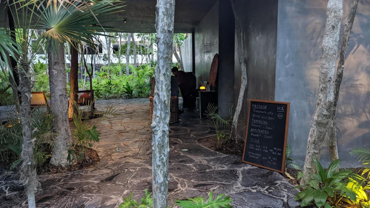 Appartamento Charming Jungle In Luum Zama With Pool By Yeah Tulum