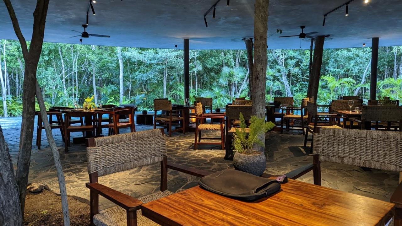 Appartamento Charming Jungle In Luum Zama With Pool By Yeah