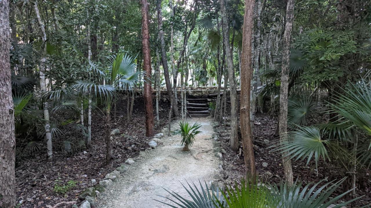Charming Jungle In Luum Zama With Pool By Yeah Appartamento
