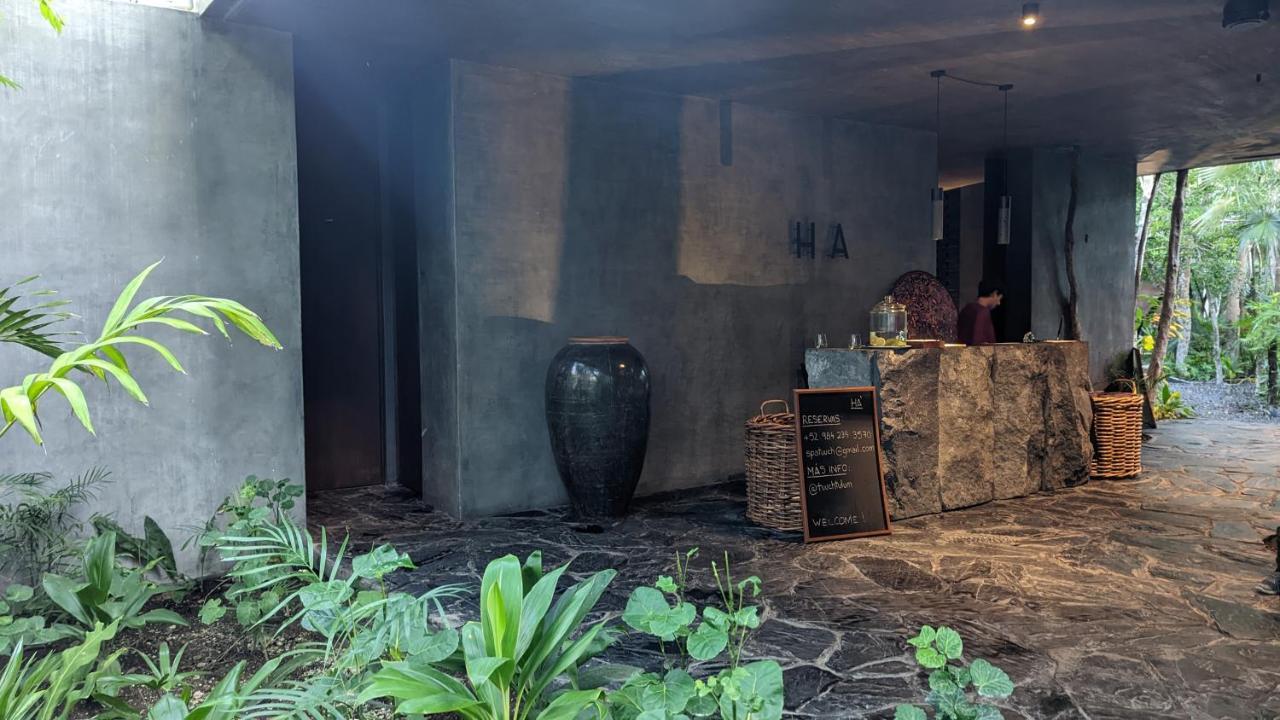 Appartamento Charming Jungle In Luum Zama With Pool By Yeah Tulum