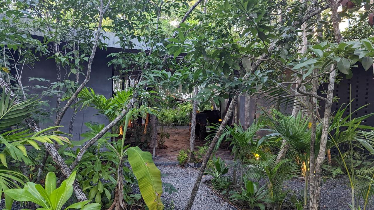 Appartamento Charming Jungle In Luum Zama With Pool By Yeah *