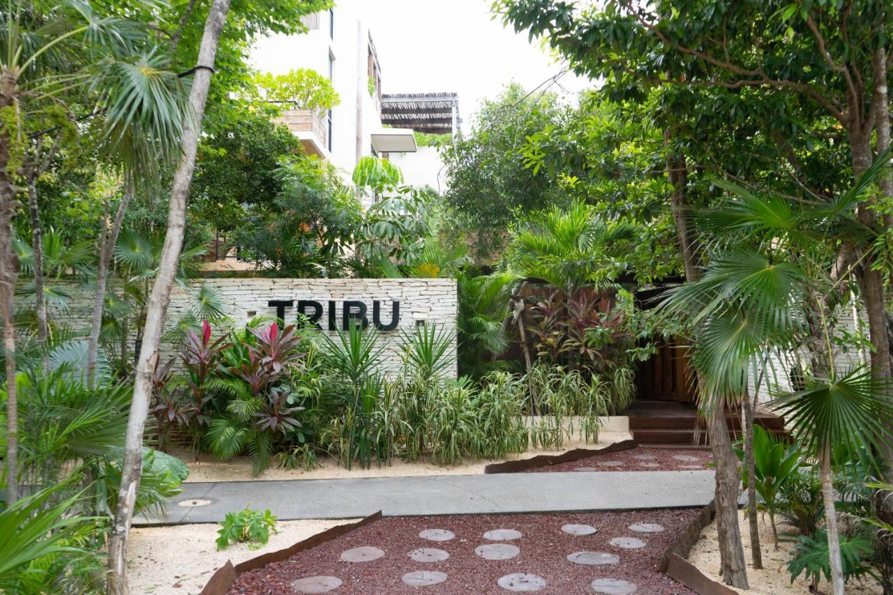 Appartamento Charming Jungle In Luum Zama With Pool By Yeah