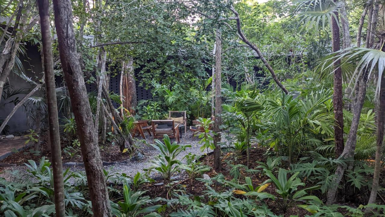 Appartamento Charming Jungle In Luum Zama With Pool By Yeah